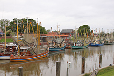 Greetsieler Hafen mit Krabbenkutter